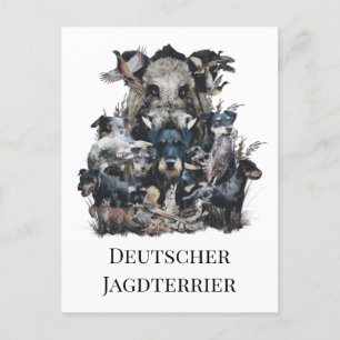  Deutscher Jagdterrier  Postcard
