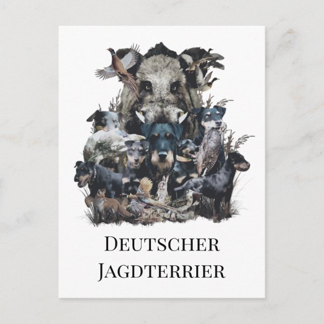  Deutscher Jagdterrier  Postcard (Front)