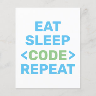 DEVELOPER  PROGRAMMER   CODING  FLYER