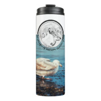 Developing Nature Gallery Logo & Seagull