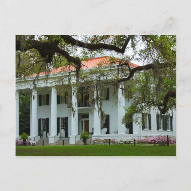 D'Evereux Antebellum Home - Natchez, MS Postcard (Front)