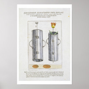Device for re-planting flowers, from 'Hortus Flori Poster