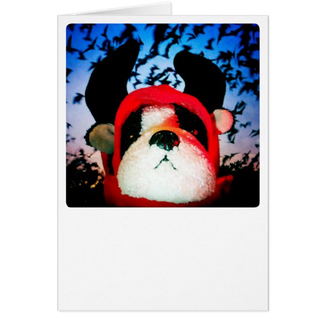 Devil Dog Card (Front)