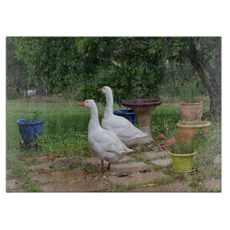 Devil Ducks Glass Chopping Board