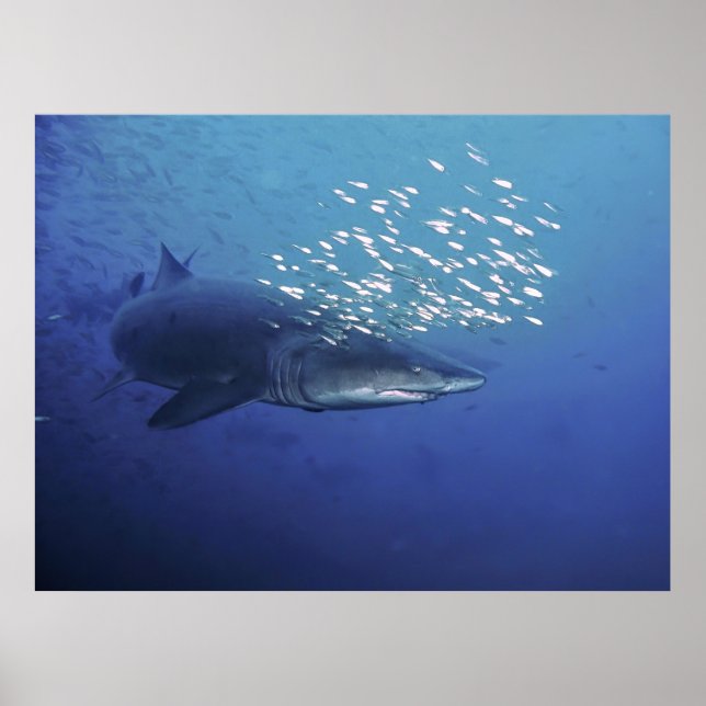 Devil with a Halo Poster (Front)