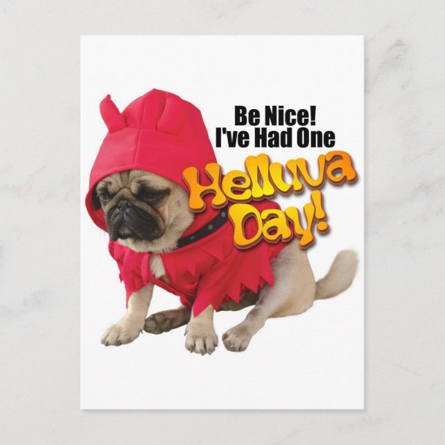 DevilDog.jpg Postcard (Front)