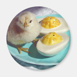 Deviled Eggs and the Chick Magnet