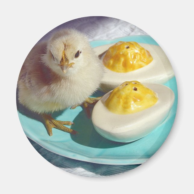 Deviled Eggs and the Chick Magnet (Front)