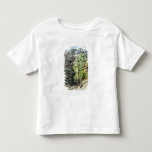 Devil's Bridge, 1810 (w/c with pen & ink over grap Toddler T-Shirt