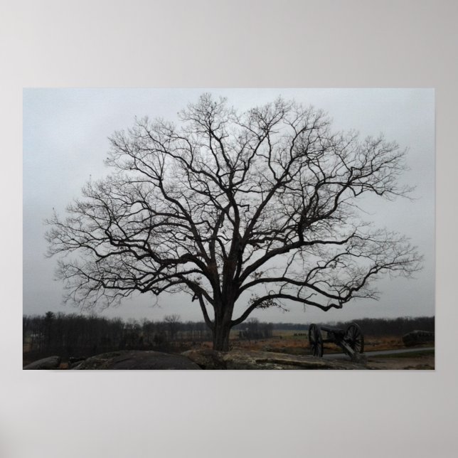 Devils Den Tree Poster (Front)