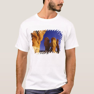 Devils Garden in the Grand Staircase Escalante T-Shirt