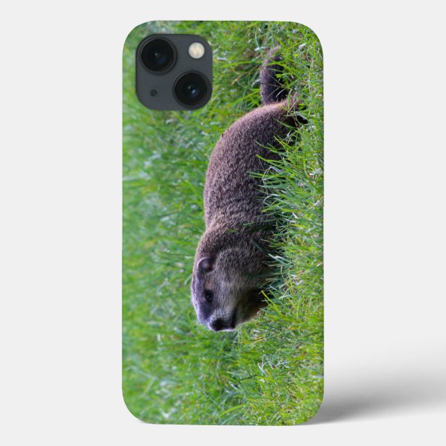 Devil's Hole Digger Case-Mate iPhone Case (Back)