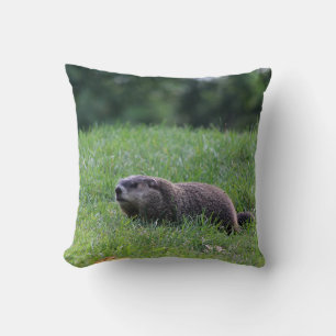 Devil's Hole Digger Cushion