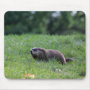 Devil's Hole Digger Mouse Pad