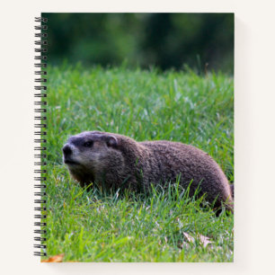 Devil's Hole Digger Notebook