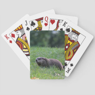 Devil's Hole Digger Playing Cards