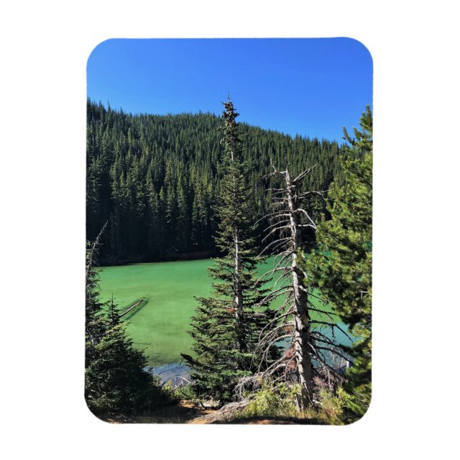 Devil's Lake, Oregon Magnet (Vertical)