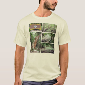 Devil's Millhopper State Park T-Shirt