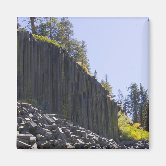 Devils Postpile Magnet (Front)