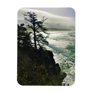 Devil's Punchbowl State Park, Newport, Oregon Magnet