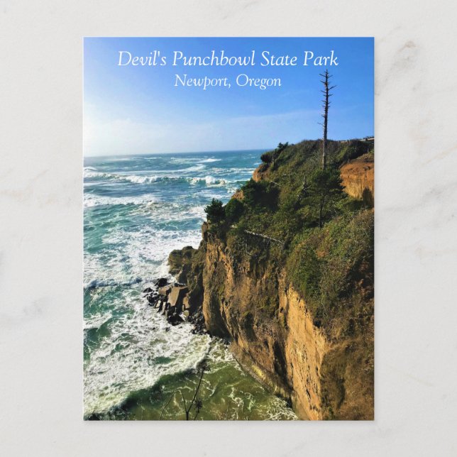 Devil's Punchbowl State Park, Newport, Oregon Post Postcard (Front)