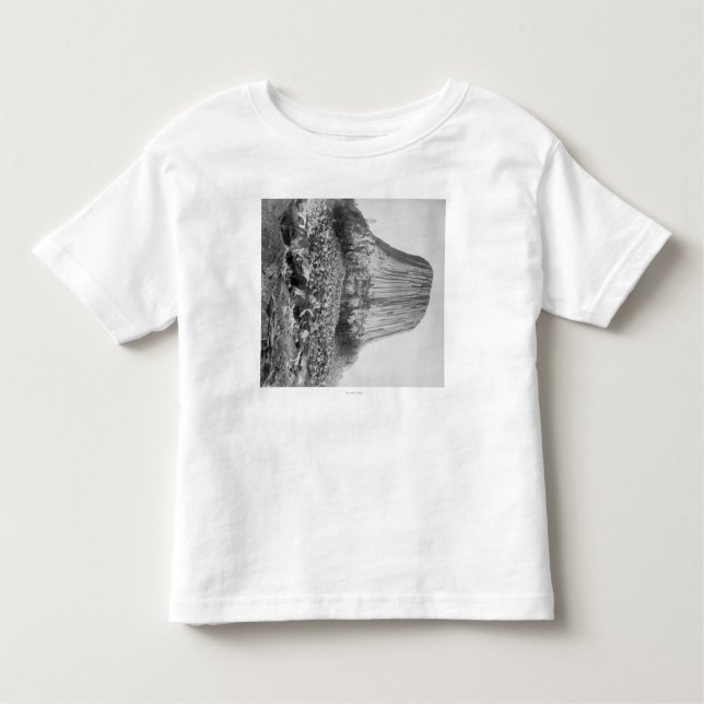 Devil's Tower from the West with Fallen Toddler T-Shirt (Front)