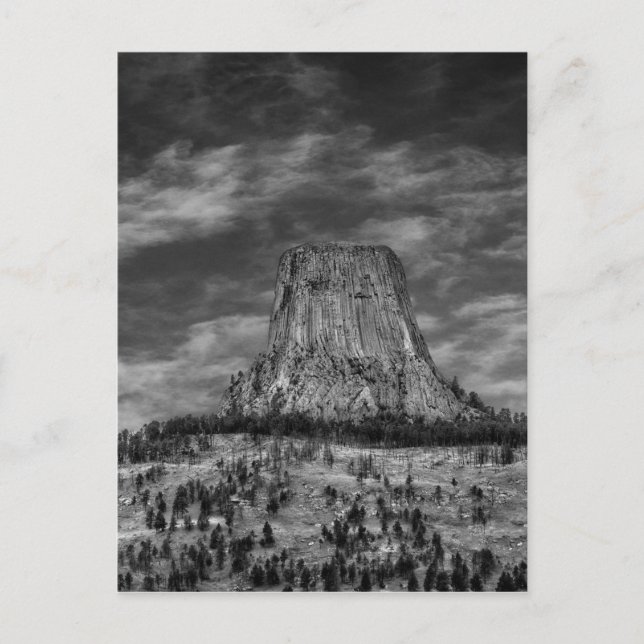 Devils Tower in Wyoming Black and White Postcard (Front)