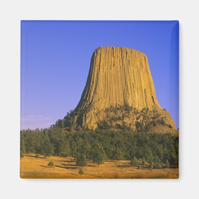 Devils Tower National Monument in Wyoming Magnet (Front)