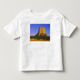 Devils Tower National Monument in Wyoming Toddler T-Shirt