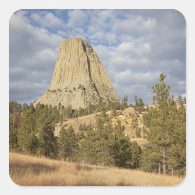 Devils Tower National Monument Square Sticker (Front)