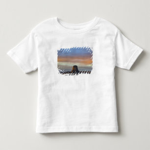 Devils Tower National Monument, Storm at Sunset Toddler T-Shirt
