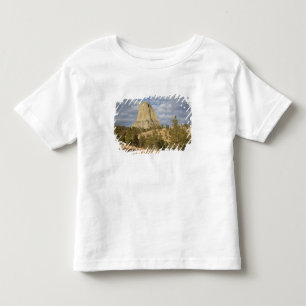 Devils Tower National Monument Toddler T-Shirt