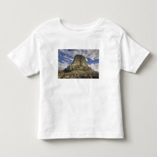 Devils Tower National Monument Toddler T-Shirt