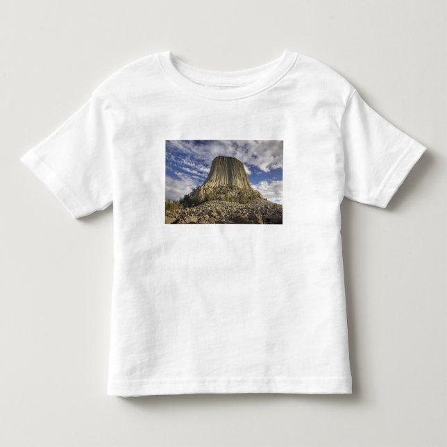 Devils Tower National Monument Toddler T-Shirt (Front)