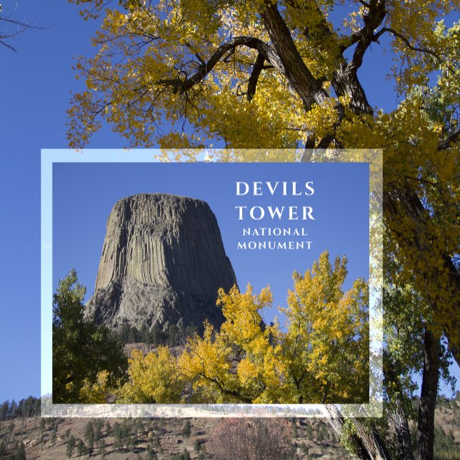 Devils Tower National Monument Trees Fall Foliage Postcard (Creator Uploaded)