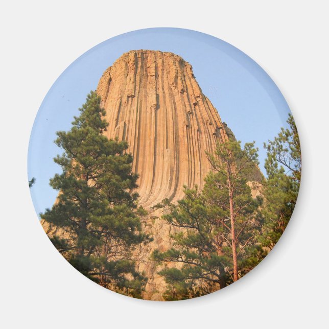 Devils Tower National Monument, Wyoming Magnet (Front)