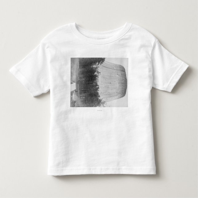 Devil's Tower with 4 People in the Foreground Toddler T-Shirt (Front)