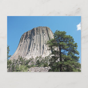 Devils Tower Wyoming Postcard