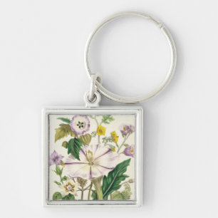 Devil's Trumpet, plate 46 from 'The Ladies' Key Ring