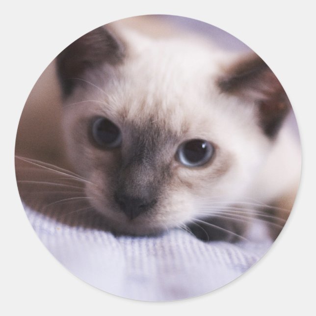 Deviously Cute Sticker (Front)