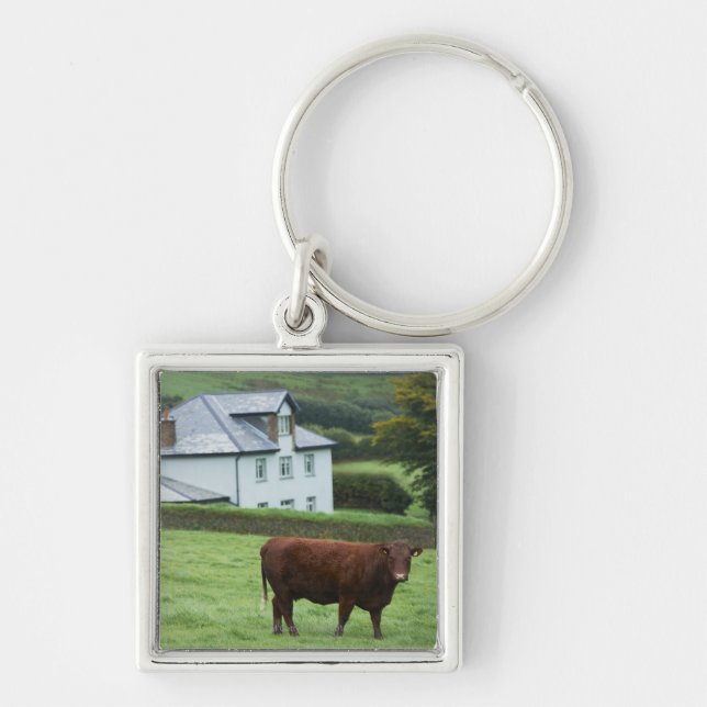Devon, England Key Ring (Front)