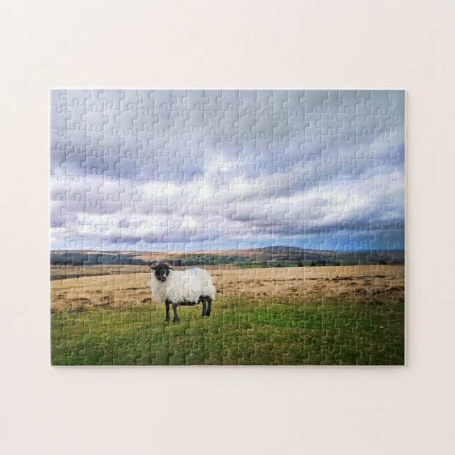 Devon England Landscape and Sheep Jigsaw Puzzle (Horizontal)