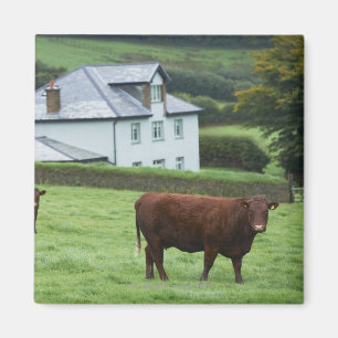 Devon, England Magnet