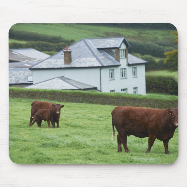 Devon, England Mouse Pad (Front)