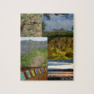 Devon Puzzle