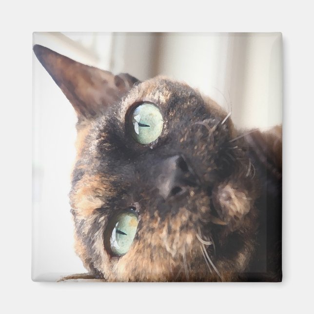 Devon Rex Cat Magnet (Front)
