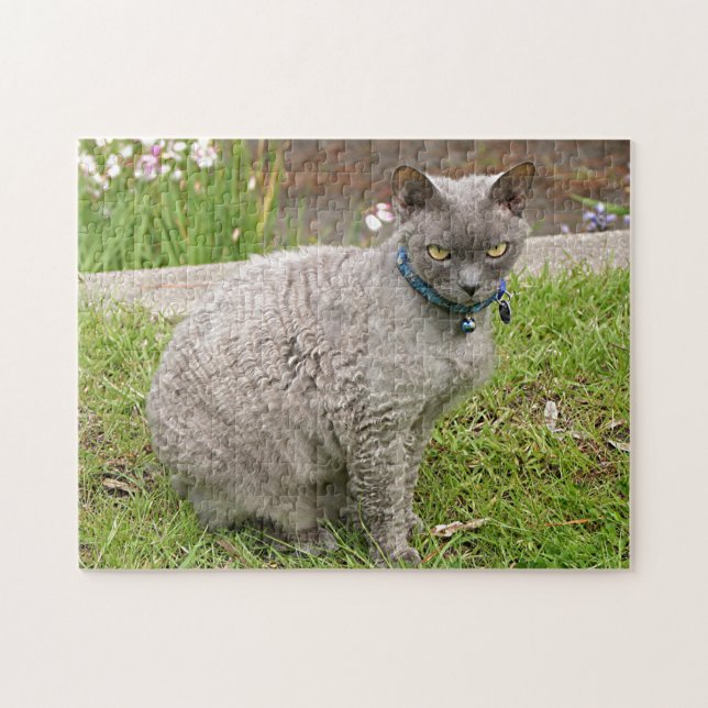 Devon Rex pet cat in garden Jigsaw Puzzle (Horizontal)