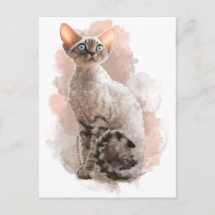 Devon Rex Sofi Postcard
