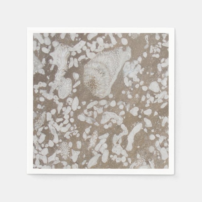 Devonian Fossil Gorge Napkin (Front)
