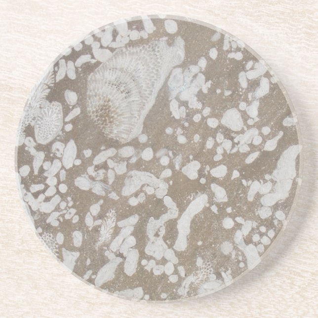 Devonian Fossil Sandstone Drink Coaster (Front)